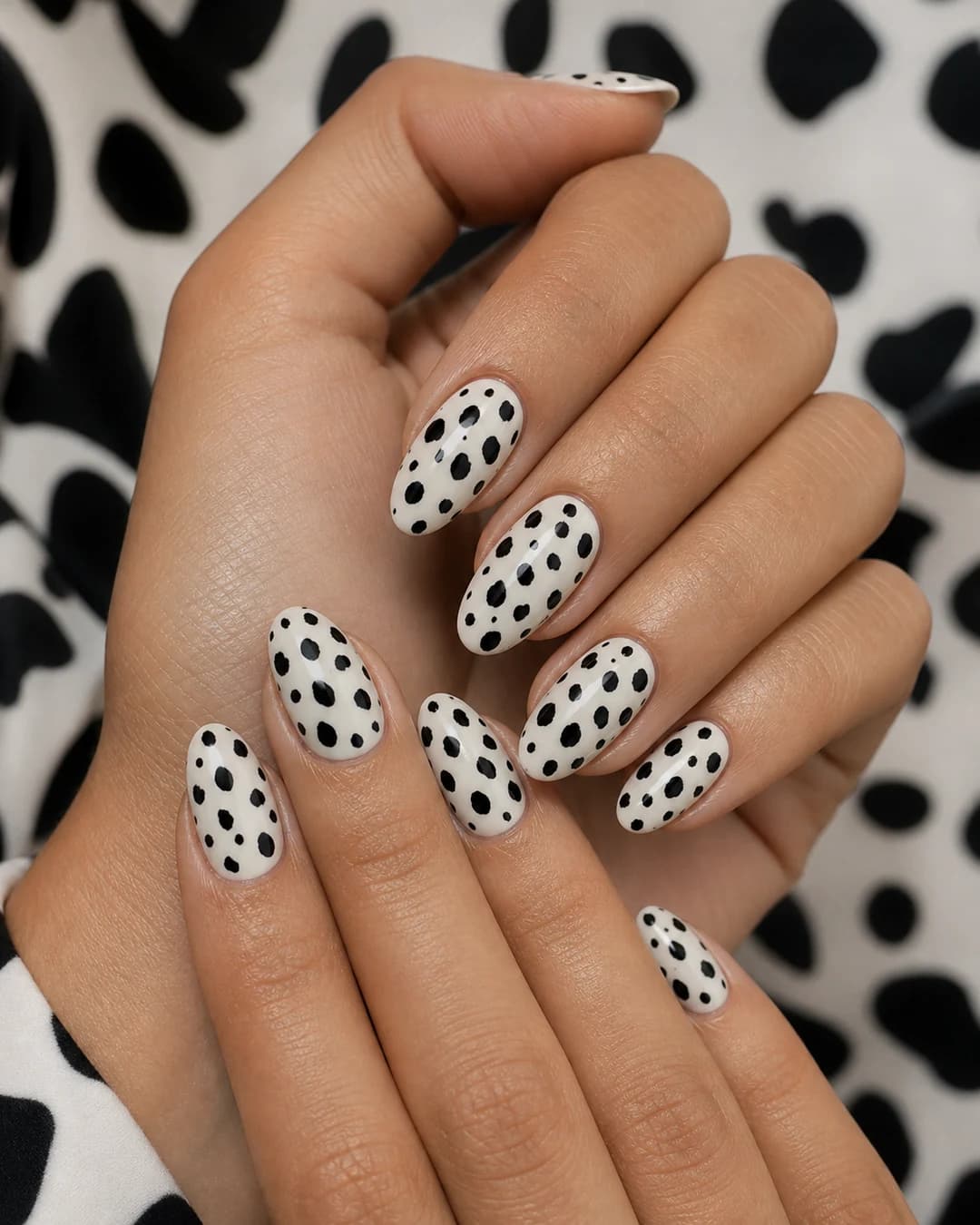 Uñas dálmata clásico con manchas negras irregulares sobre blanco lechoso